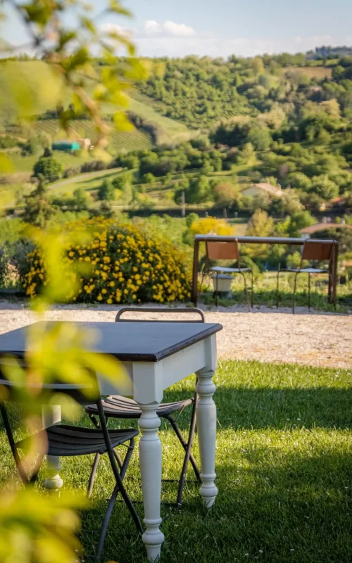 lacantineria_cesena-198