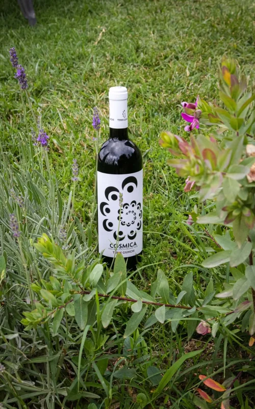 lacantineria_cesena-204